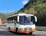 Coop. Transporte Menca de Leoni 119, por Josue S�nchez