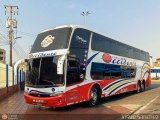 Expresos Occidente 325